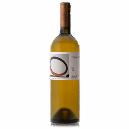 Primo Passo