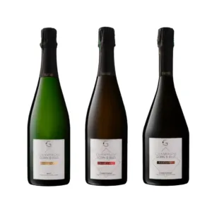 Champagne blanc de blancs 3-box